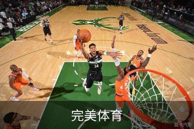 完美体育公司简介